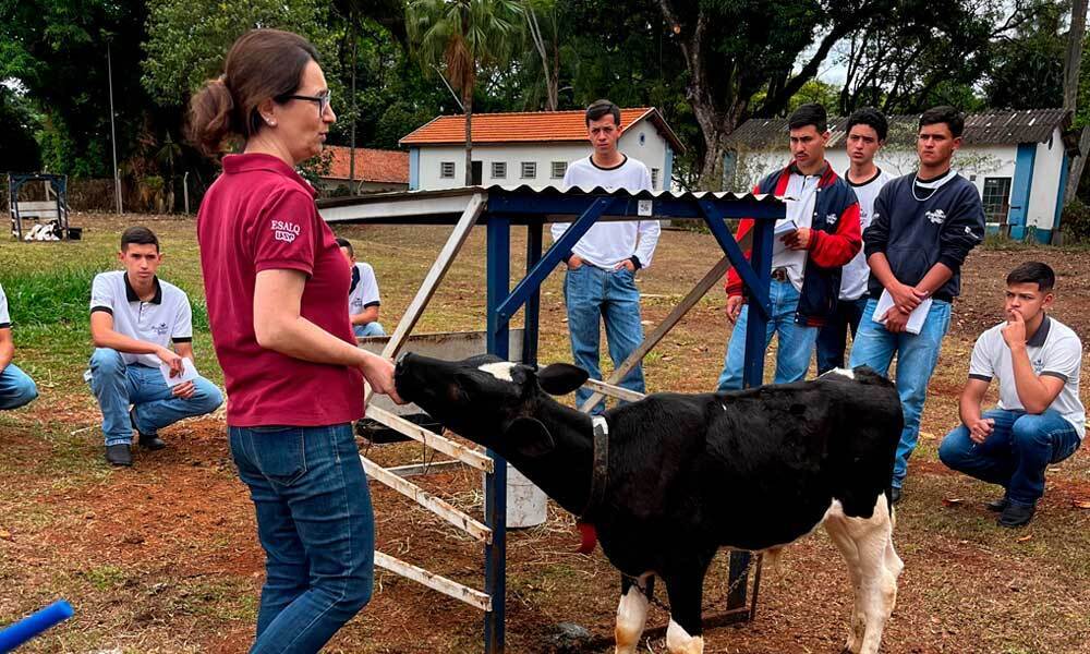 Por que o técnico em agropecuária é essencial na reprodução bovina