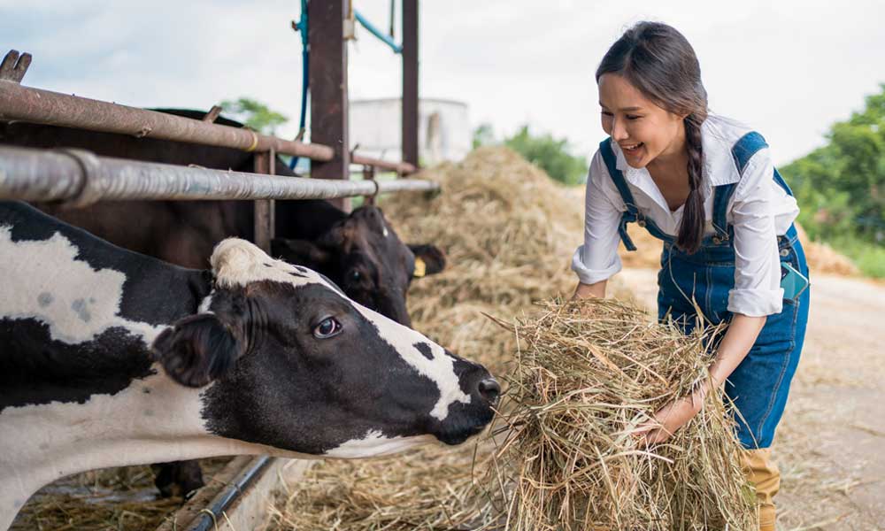 https://www.fundacaoroge.org.br/hubfs/Blogposts/FUNDA%C3%87%C3%83O%20ROGE/2025/04-Abril/mulher_vacas_pecuaria_leiteira_fundacao_roge.jpg