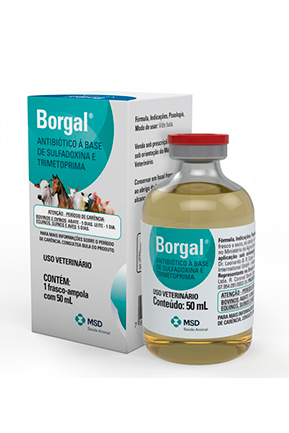 Borgal