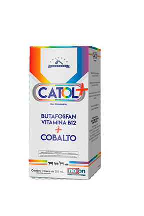 Catol