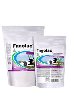 Fagolac-1