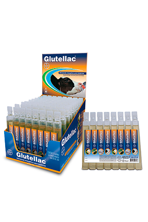 Glutellec
