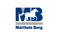 Mattheis_borg-1