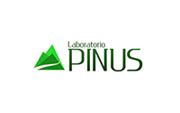 Pinus-1