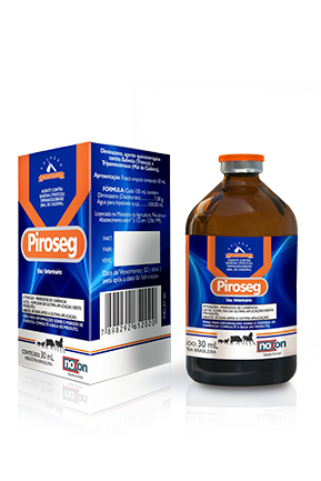 Pirooseg