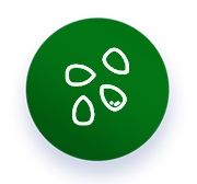 icon-1-3