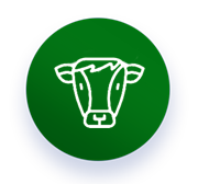 icon-5-2