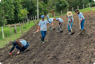 Educação ambiental Educação ambiental